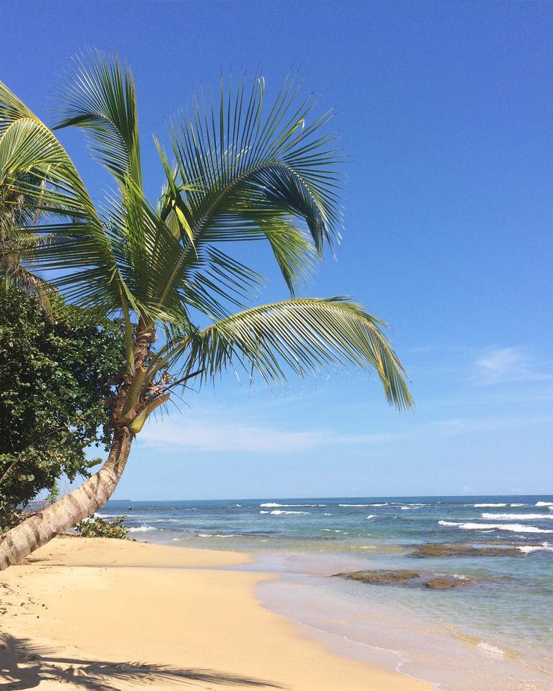 Las Casitas De Playa Negra Hostel Puerto Viejo de Talamanca Zewnętrze zdjęcie