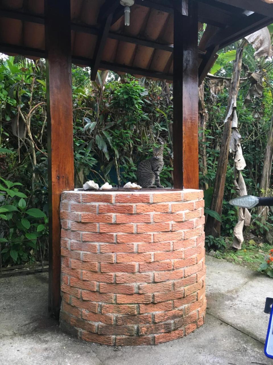 Las Casitas De Playa Negra Hostel Puerto Viejo de Talamanca Zewnętrze zdjęcie
